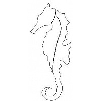 seahorse single